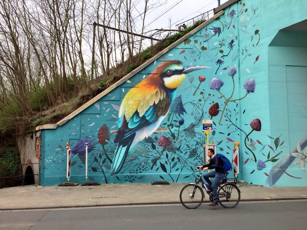 rijk verwennen Beheren Met de fiets op zoek naar street art - Leuven+